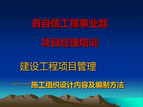 建設工程項目管理 系統化方法與實踐要點